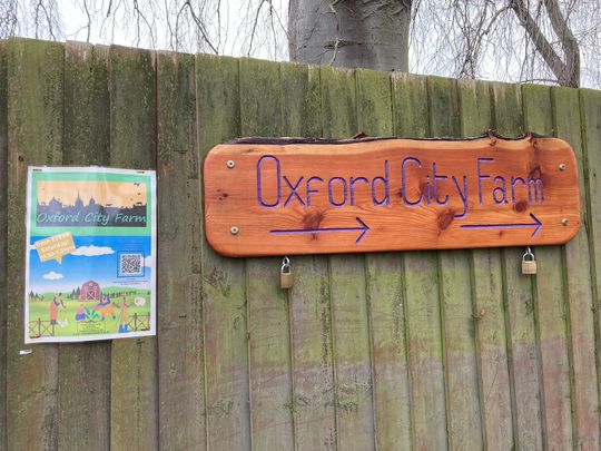 Badger-proofing augurs well for city farm