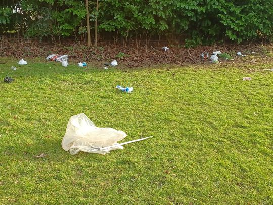 Shawe Road litter pick