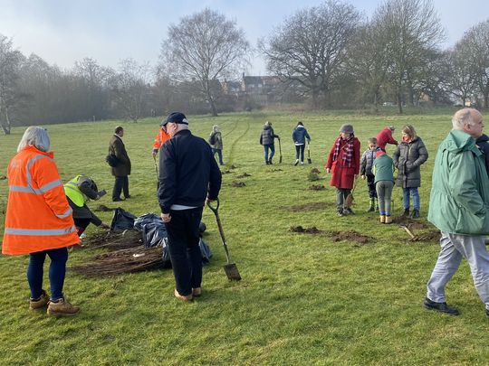 They say good things grow from acorns... in this case it was 400 + trees... 