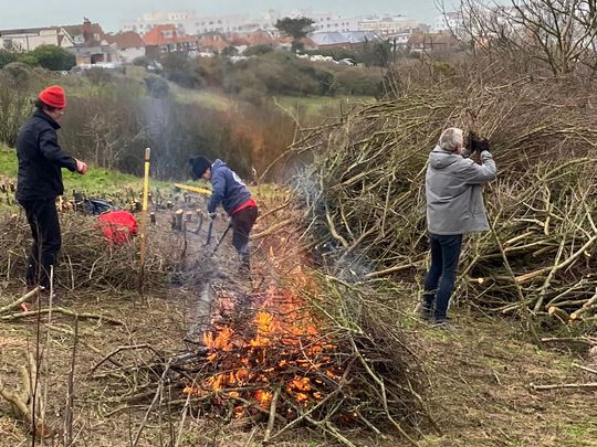 Bonfire of the brutalities