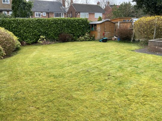 Wibbly long lawn lines