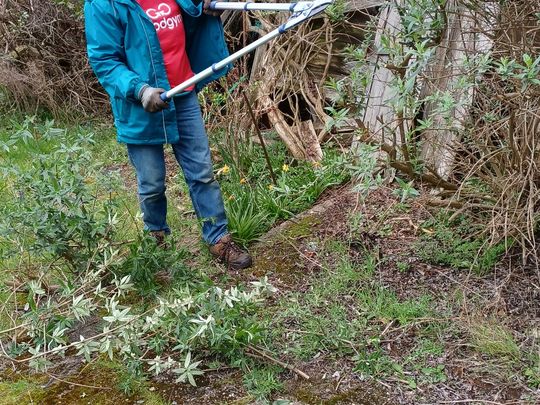 Garden Tidy Up (Part II) for the lovely Mrs B