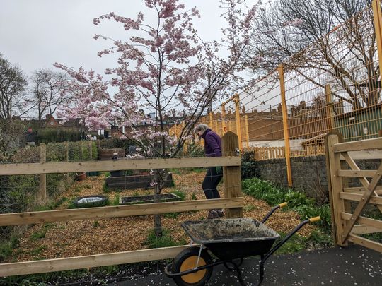 Weeds, wheelbarrows & woodchip