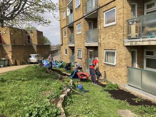 Weeded, planted and mulched on Herbert Road