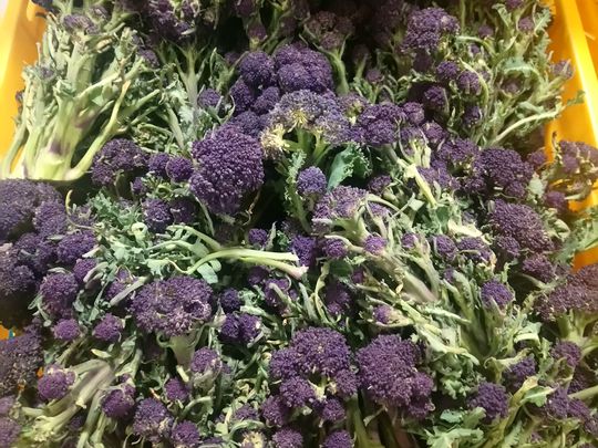 Multi-coloured vegetables at the Borough Food Co-Operative (BFC)