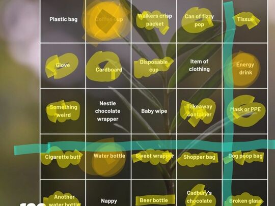 #LitterPickBingo