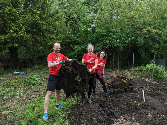 Pulling the rug from under the peat*