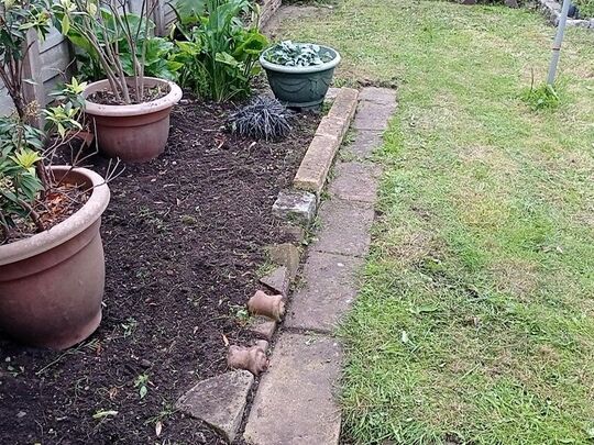 Clearing the weeds (and backcombing grass)