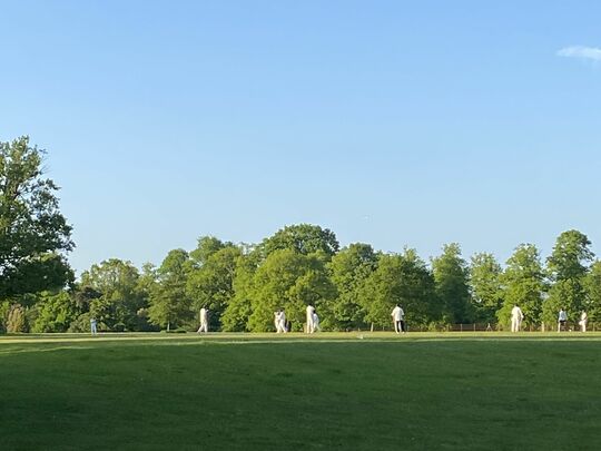 Pick it,  cricket and some golden light