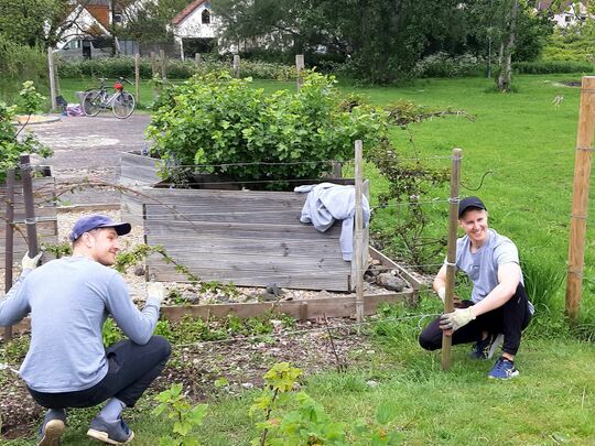 Fence-ational work by a-maze-ing people