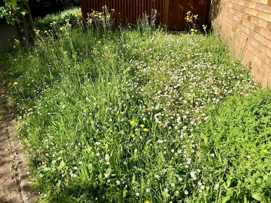 One man went to mow (a meadow)...