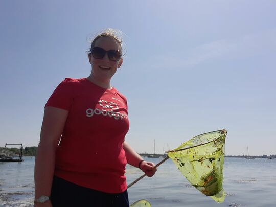 Crabulous litter pick