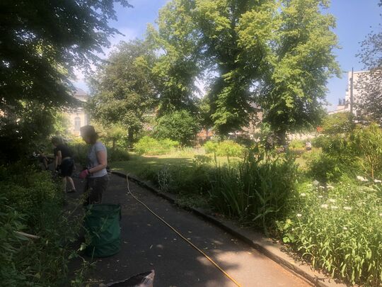 Penn Community Gardening 