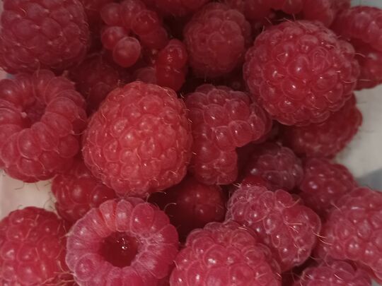 Raspberry Surprise