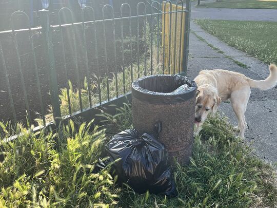 This rubbish is a litter bit annoying!