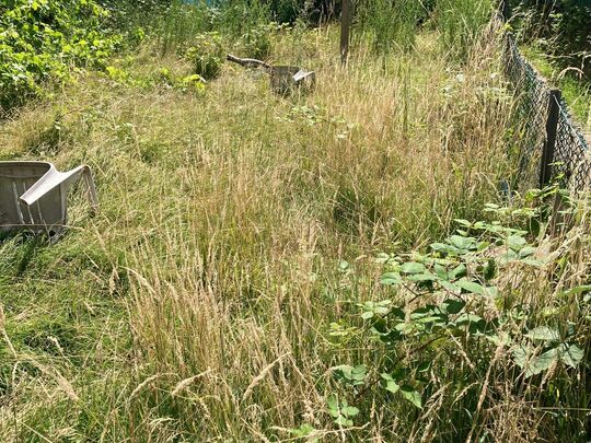 The little farm turned meadow