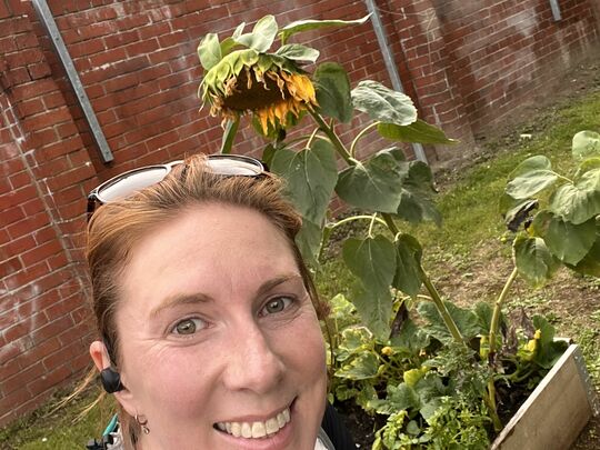 Sunflowers and apples 