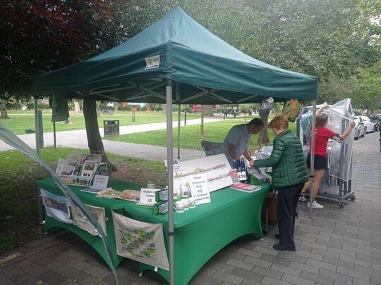 Saturday sunshine stall setup