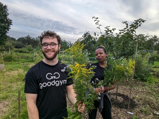 Weed it and reap with Sickle and Scythe