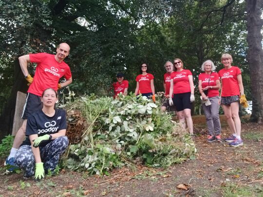 Blitzing those brambles