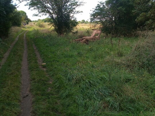 Common-tary on the day's litter pick