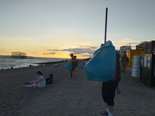 Golden(hour) litter picking