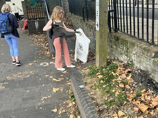 Canal clean up 