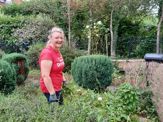 Garden Restoration