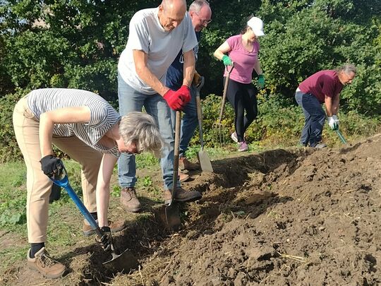 Digging deep at the Tiny Forest