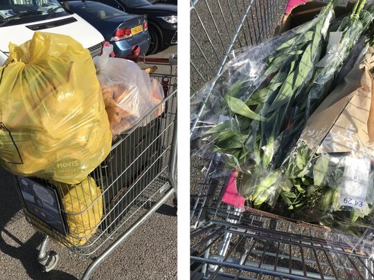 Getting Trollied for Food Cycle