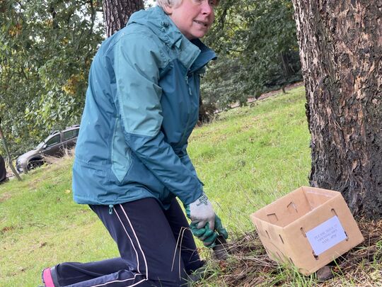 We Must Have Been Daft’odil To Be Planting Bulbs in Todays Weather 🌧️ 