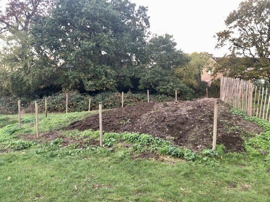 Tiny Forest, Big Step towards Planting Day