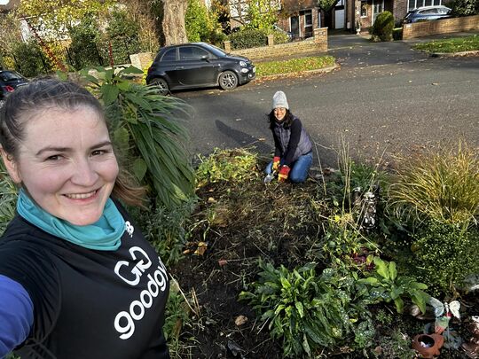 Bee inspired to guerrilla garden!  