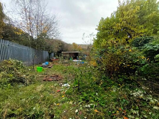 Sunday fun at the allotment (with cake!)