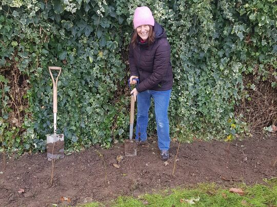 We whipped up a hedge in no time.