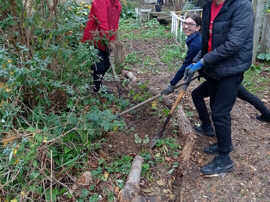 Last Thor Lands Gardens session of 2023