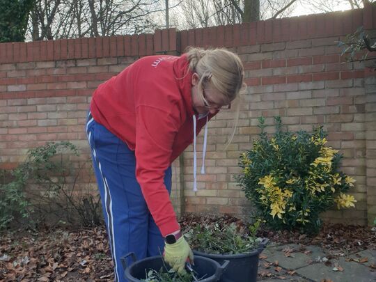 Trimming brambles and raking leaves