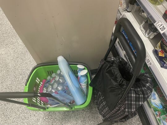 Travels with Shopping Trolley 639