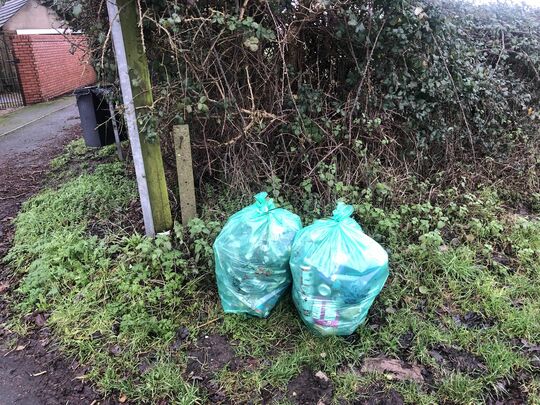 Litter pick with Barbara