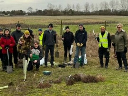 Treemendous Tree Planting