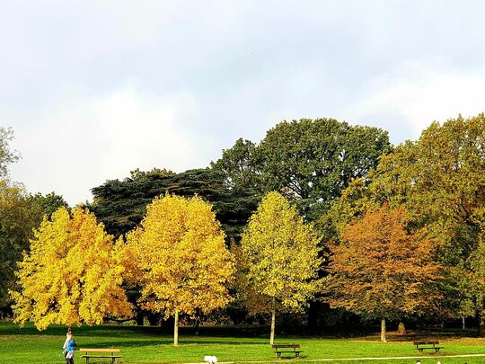 Blackheath shuffle