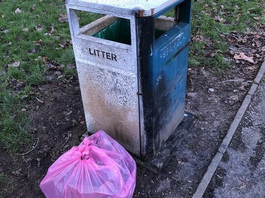 Litter pick in Splott 