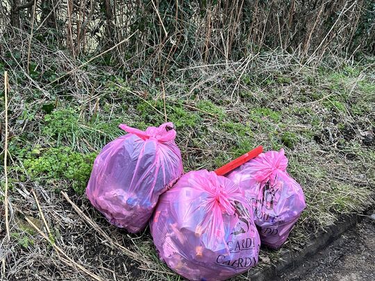 Must stop wine-ing about litter…