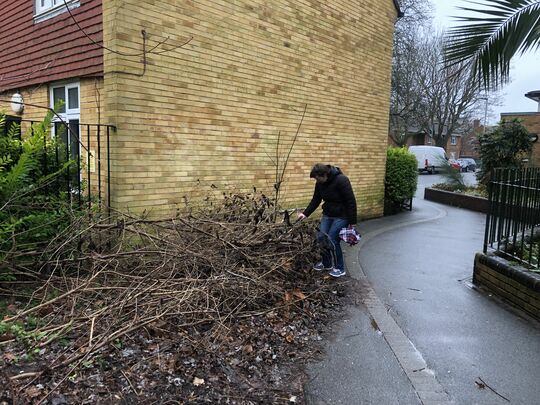 Squirty tree trappings