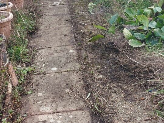 GoodGym Gardening Gossipers