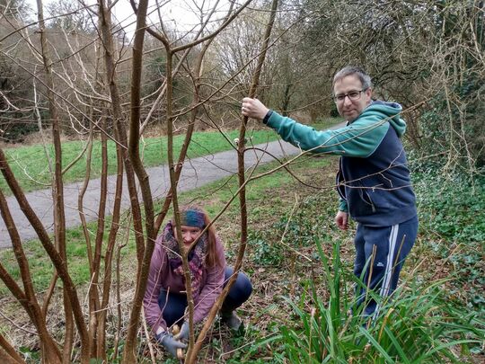 Good Coppice, Bad Coppice