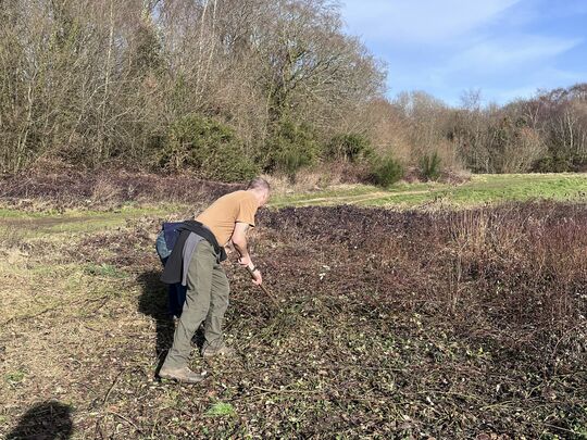 Brambles brambles brambles!