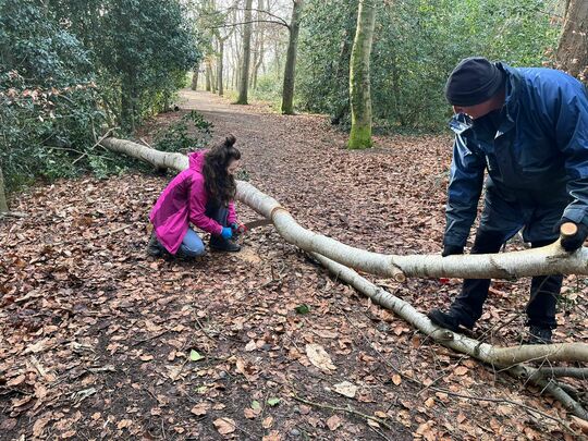  Why did the volunteers rush to help after the storm? Because they knew it was time to "branch" out and lend a helping hand before things got too "timber"ous!