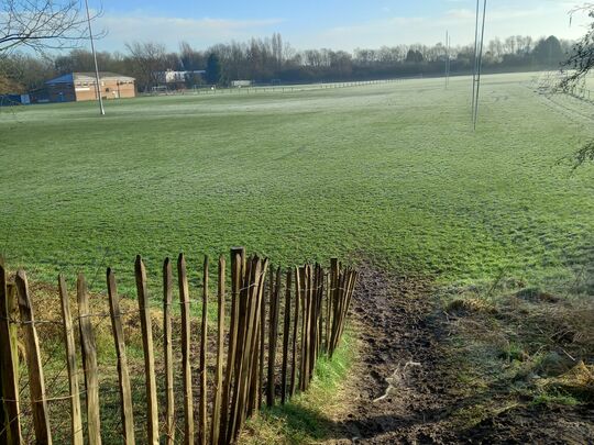 Frosty Fletcher Moss Marshalling