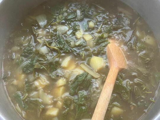 Turning Wildcat weeds into lovely lunches 